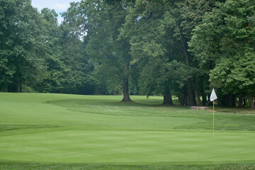 Person playing golf on the grass