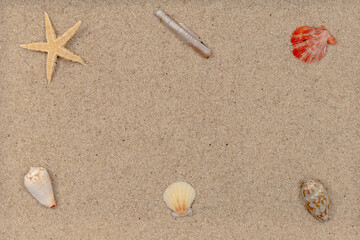 Fototapeta na wymiar Etoile de mer et coquillages au fond de la mer sur du sable blanc. 