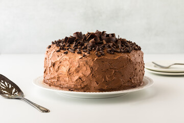 A freshly baked, frosted and decorated chocolate cake ready for serving.