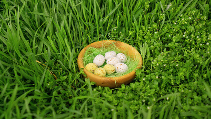White chocolate eggs in a wooden bowl on fresh green grass for a fun quest