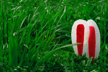Funy Easter quest on a warm sunny day on a green lawn