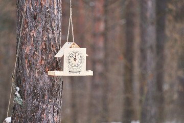 Winter Forest. Original bird feeder on a tree with a clock showing the symbolic approach of midnight and the new year. Copy space.