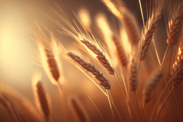 Wheat field at sunset background. AI generated image.