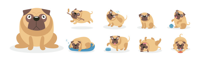 Cute Pug Dog and Canine with Wrinkled Snout Vector Set