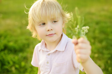 Cute blond boy playing with wild flowers in sunny spring or summer park. Preschooler kid collects a bouquet for mom. Little child explore nature.