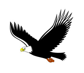 Fototapeta premium eagle in flight on line art style - illustration