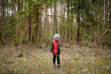 Obraz premium Little boy in red vest is playing with big branch and having fun in forest on early spring day. Activity for children. Outdoor recreation for family