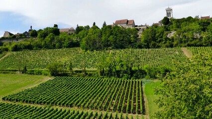 Fototapeta na wymiar Le vignoble en contre-bas de la ville de Vézelay