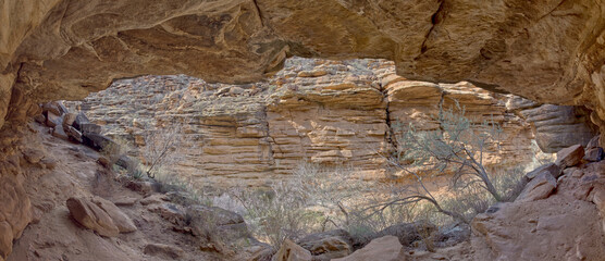 Cliff Cave along Garden Creek at Grand Canyon AZ