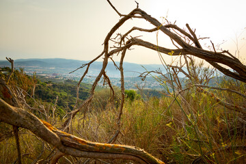 Inland village landscape