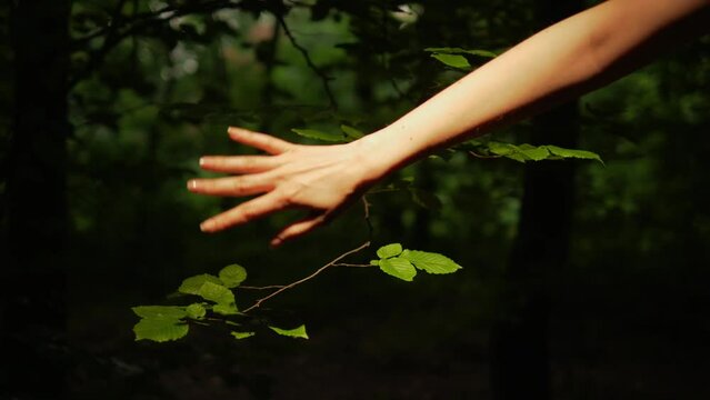 Woman's hand psychedelically circles in the air in the forest