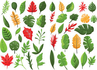flat leaves collection vector illustration