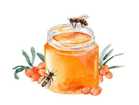 recommend clip art: Honey illustration. Watercolor jar of honey with sea buckthorn and bees. Sweet honey logo isolated on white. honey branding.