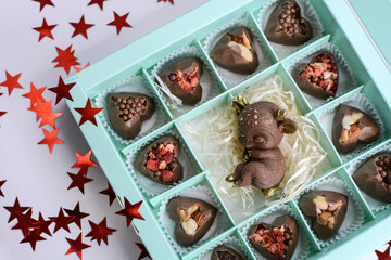 Chocolate cute fawn and candies with various fillings in a gift box on a light background....