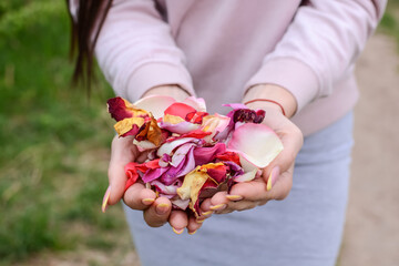 Many rose petals in the palms of a young girl.