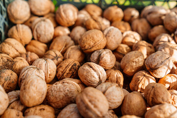 boxes of walnuts. harvesting nuts on the farm. 