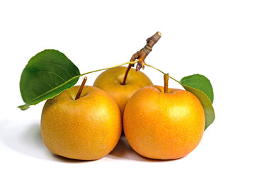  Nashi-Birnen, Pyrus pyrifolia, isoliert vor weißem Hintergrund