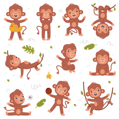 Funny happy baby monkey in different poses. Cute African tropical animal cartoon character hanging and swinging on vine, jumping, playing coconut vector illustration