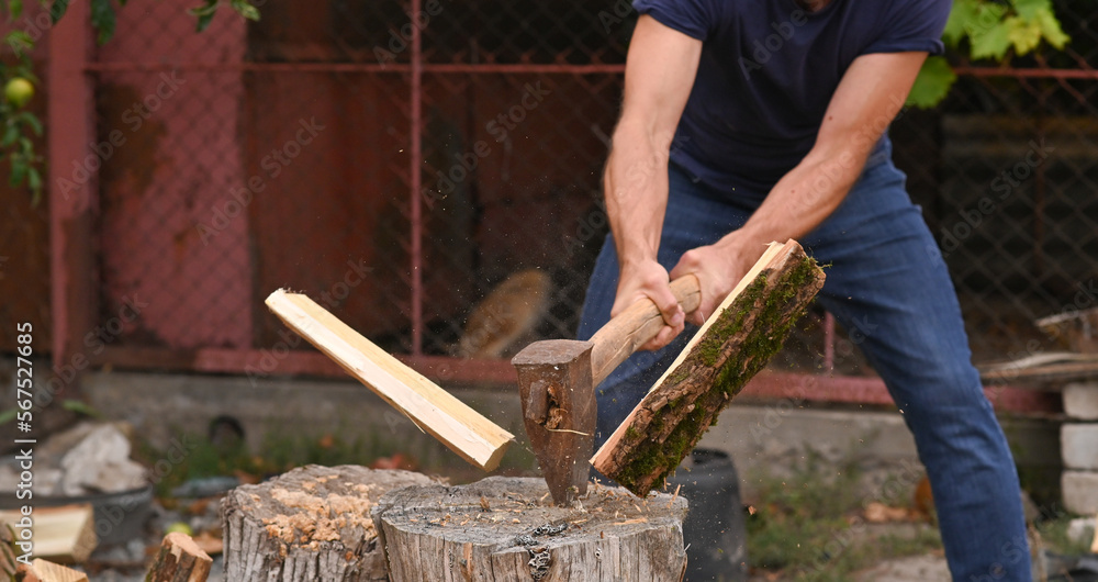 Wall mural A woodcutter with a heavy axe in his hands is chopping firewood.