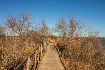 r&eacute;serve naturel marais de scamandre France