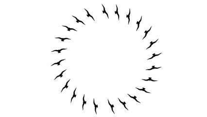 Black birds circled on white background