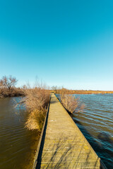 Marais de camargue R&eacute;serve naturelle du scamandre sud de la France