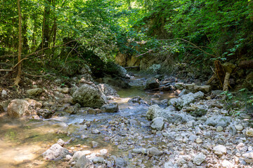 The bed and canyon of a mountain river, shallow by the middle of the summer period, traveling through impassable places of nature.