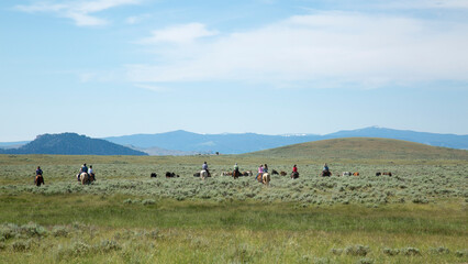 Horse Riding Landscape