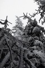 Winter in der Rhön- Winterzauber auf dem Simmelsberg 7
