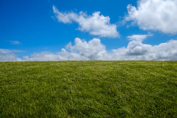green field and blue sky