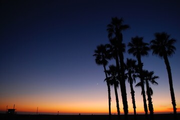 Blue purple sky at sunset with silhouettes of palm trees and a lifeguard tower facing the Pacific...