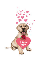 I love you - Valentine's day - obrazy, fototapety, plakaty