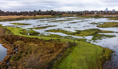 Obraz premium London Wetland centre, a wetland nature reserve in Barnes. Formed from disused Victoria reservoirs tucked into a loop into river Thames.
