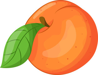  illustration of peach isolated on white background, peach with leaves, half of peach, piece of peach isolated