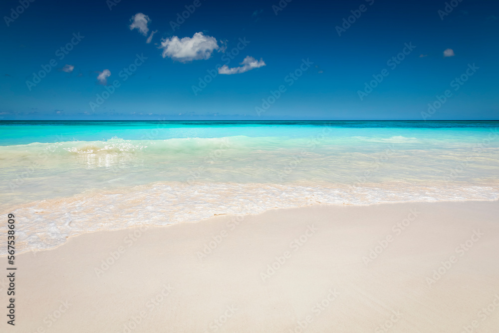 Wall mural tropical paradise, sand beach in caribbean saona island, punta cana, dominican