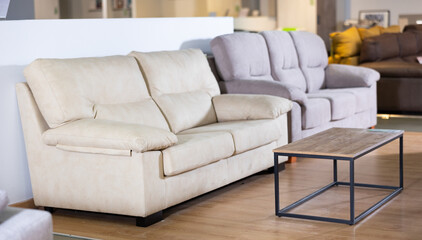 Luxurious and compact sofas from new collection in our store are waiting for their customers