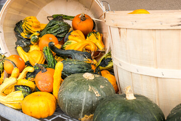 Brightly colored squash spilled out of a wood basket.