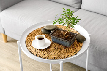 Bonsai tree, cup of coffee and spa stones on table in living room