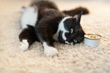 cat food in a tin can and a beautiful black and white cat on the carpet.