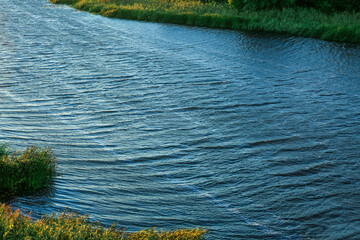 View of beautiful river with green bushes at sunset