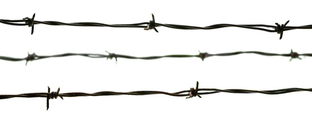 Concept panoramic photograph with 3 strands of barbed wire with white background.
