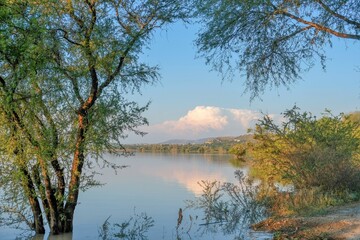 Fototapeta na wymiar Lake with mountains and foliage