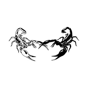 vector illustration of two scorpions