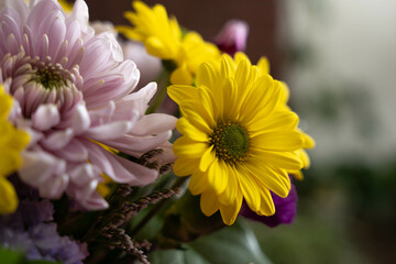 A closeup view of a yellow flower.
