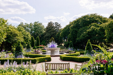 Atlanta botanical garden. Beautiful summer sunny landscape with trees and bushes and fountain in center of composition. 17 May 2021, Atlanta, Georgia, USA