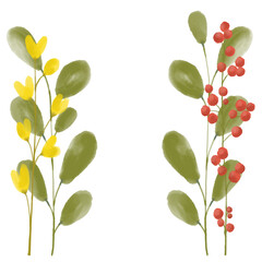 Berries, flowers and leaves, digital watercolor