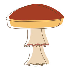 Amanita mushroom lineart. Edible Organic mushrooms. Truffle brown cap. Forest wild mushrooms types.