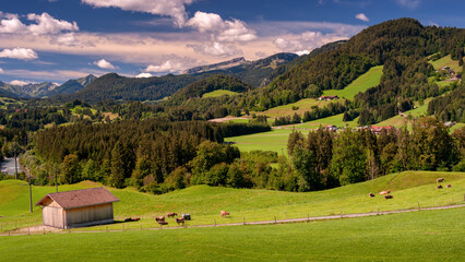 Fototapeta na wymiar Alpine pasture landscape, Bavaria Germany