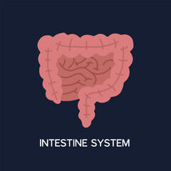 Human Internal organs, cartoon anatomy body part intestinal system, vector illustration
