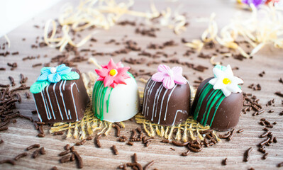 Chocolate truffles and pralines colorful